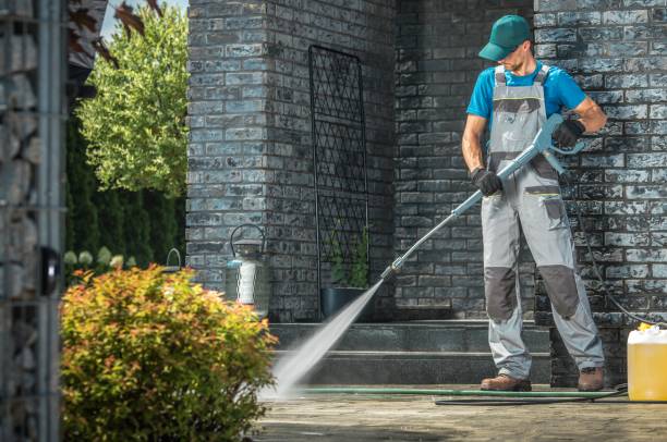 Best Soft Washing  in Willits, CA